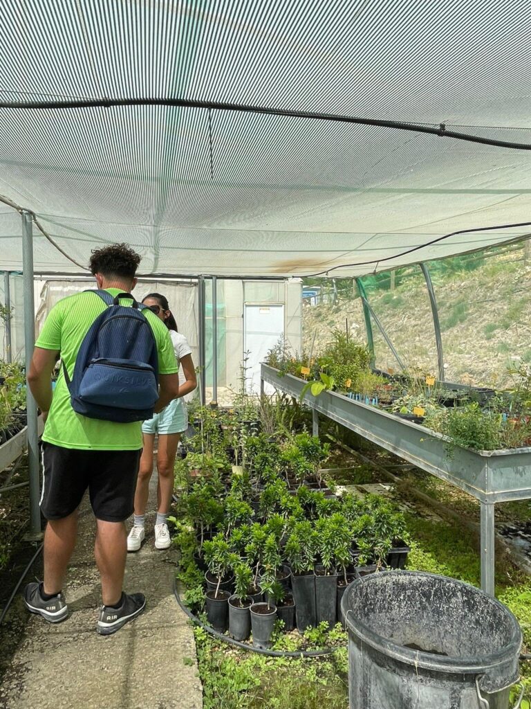 Actividades Socioculturales