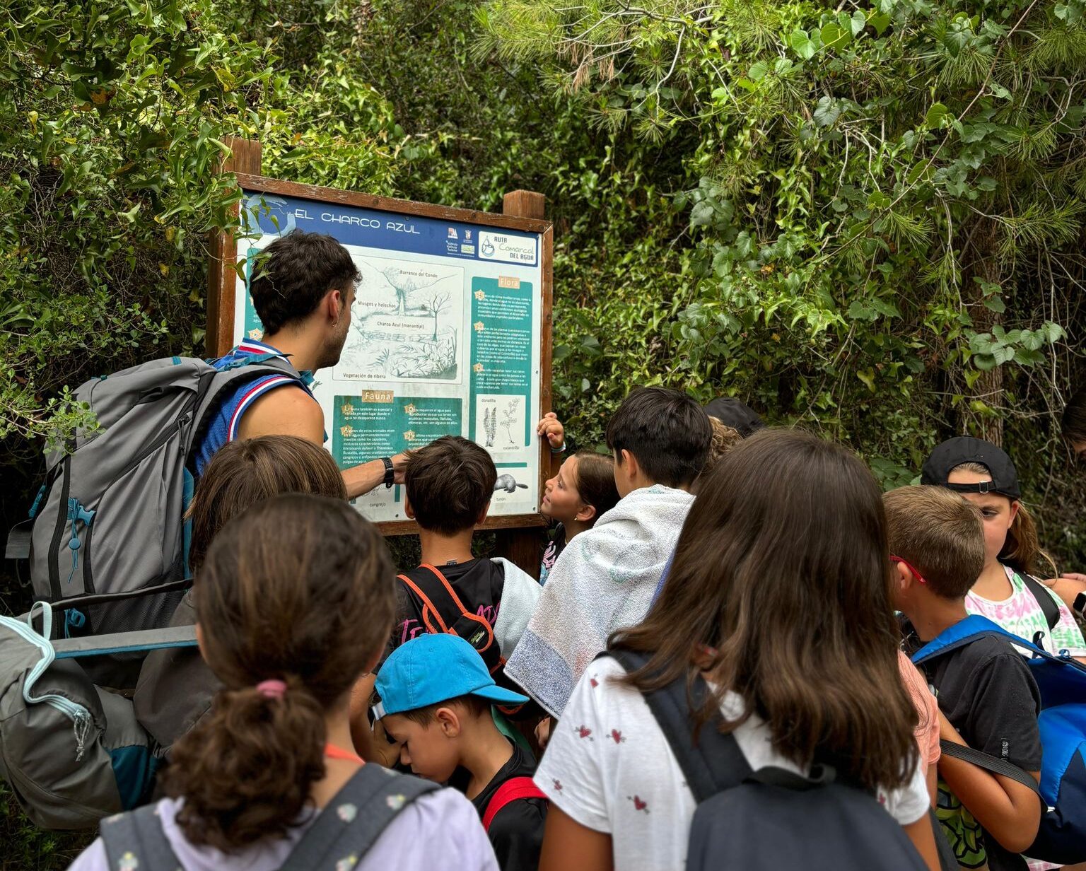 Grupo de niños caminando de espaldas por un sendero en el campo durante una excursión al aire libre.