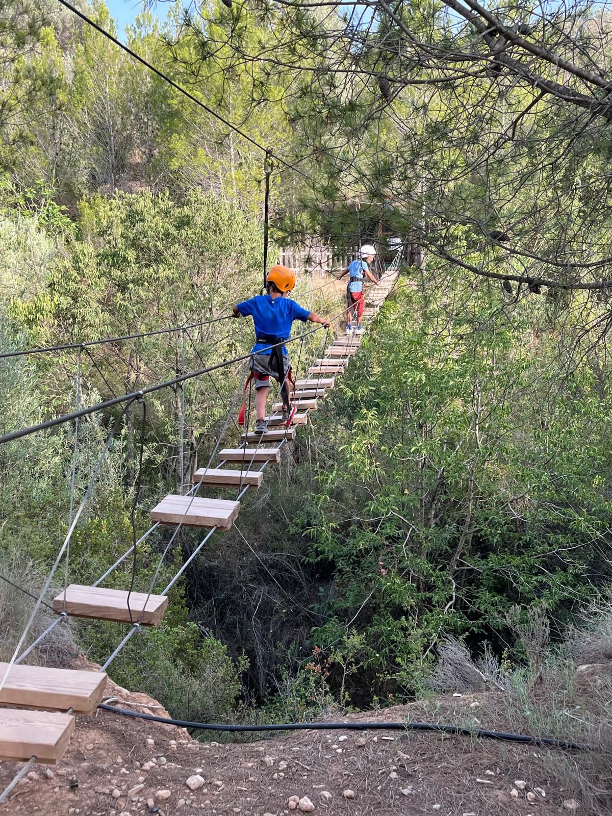 Grupo de niños cruzando un puente de madera en un campamento al aire libre, acompañados por monitores y rodeados de naturaleza.