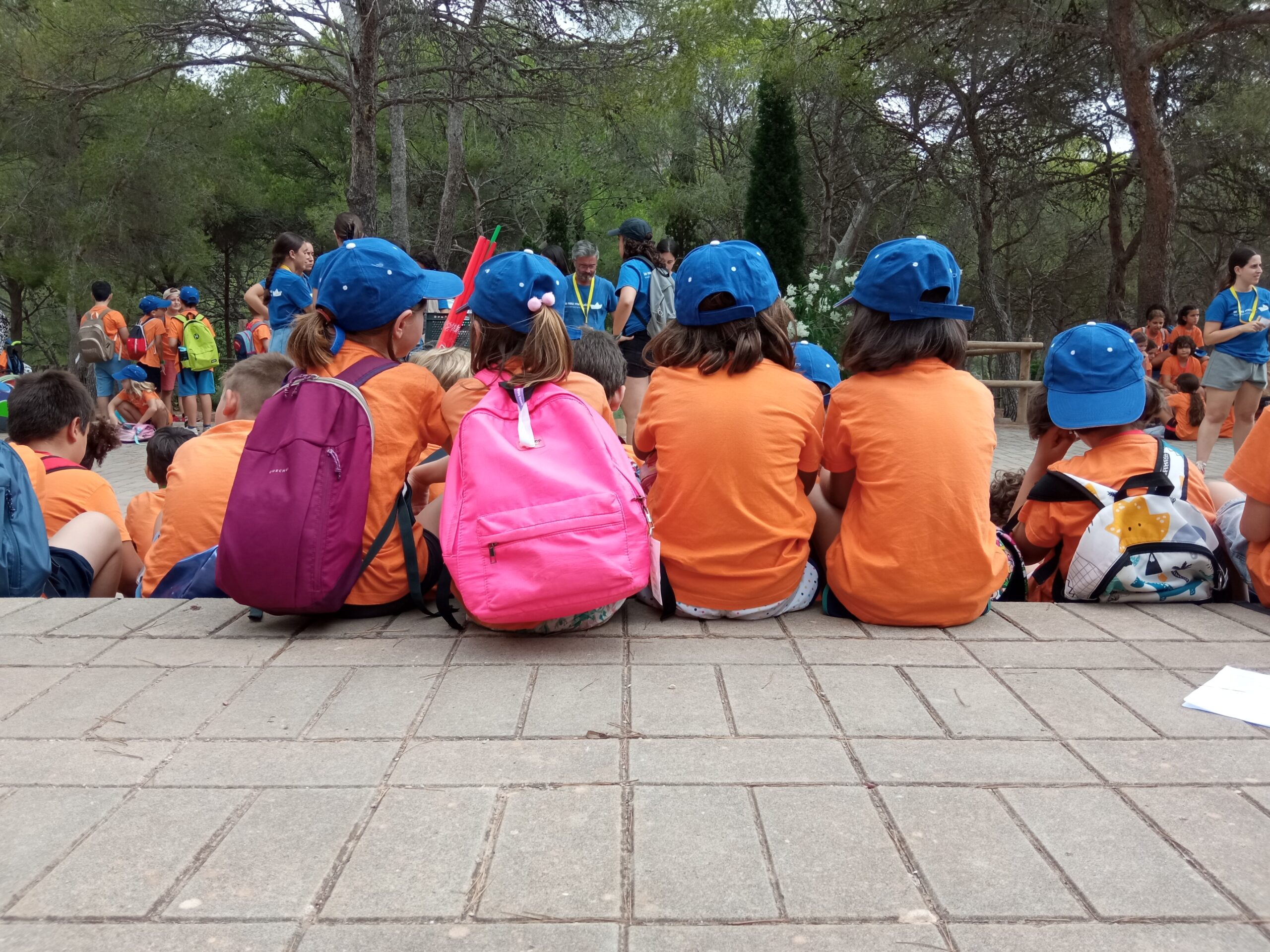 Niños sentados de espaldas con mochilas escolares, preparados para comenzar la jornada escolar.